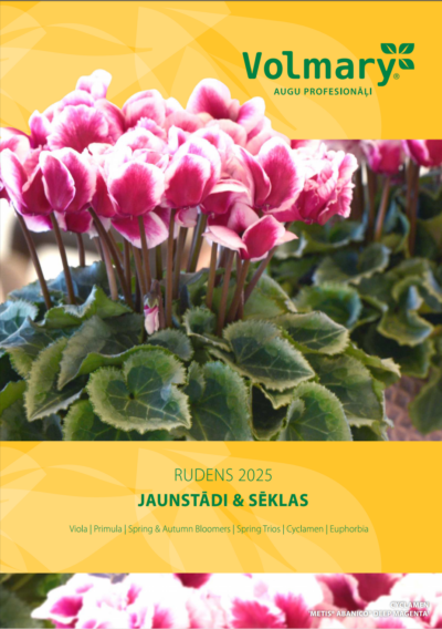 Volmary Rudens